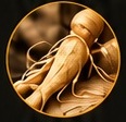 Ginseng
